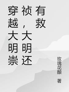 朱慈烺崇祯(穿越之大明太子)